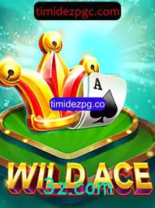Descubra a Emoção de WildAce, o Novo Jogo Revolucionário